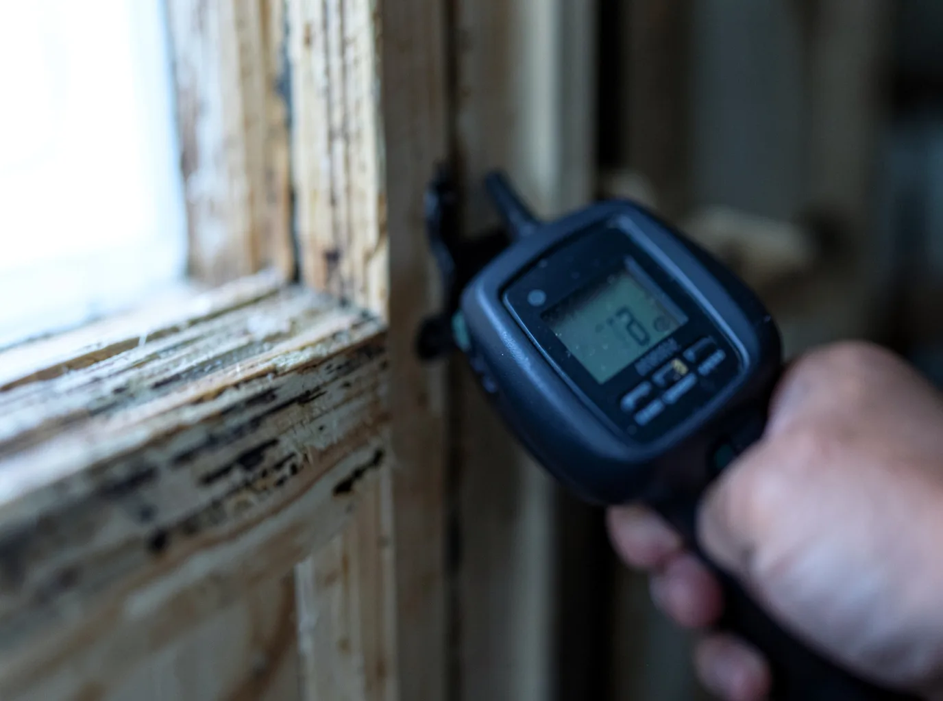 Commercial Water Damage Restoration in Branscomb, CA